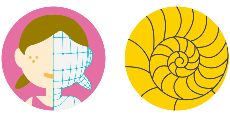 幅広いプログラミングの世界